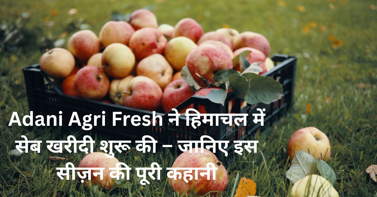 Adani Agri Fresh ने हिमाचल में सेब खरीदी शुरू की – जानिए इस सीज़न की पूरी कहानी